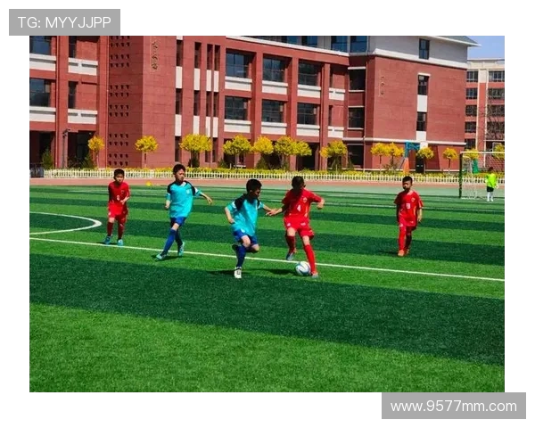 足球青训与羽球学院：青少年体教融合创新模式探索