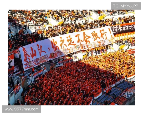 鲁能主场中超联赛胜率与球迷氛围解析 鲁能主场中超联赛胜率与球迷氛围解析